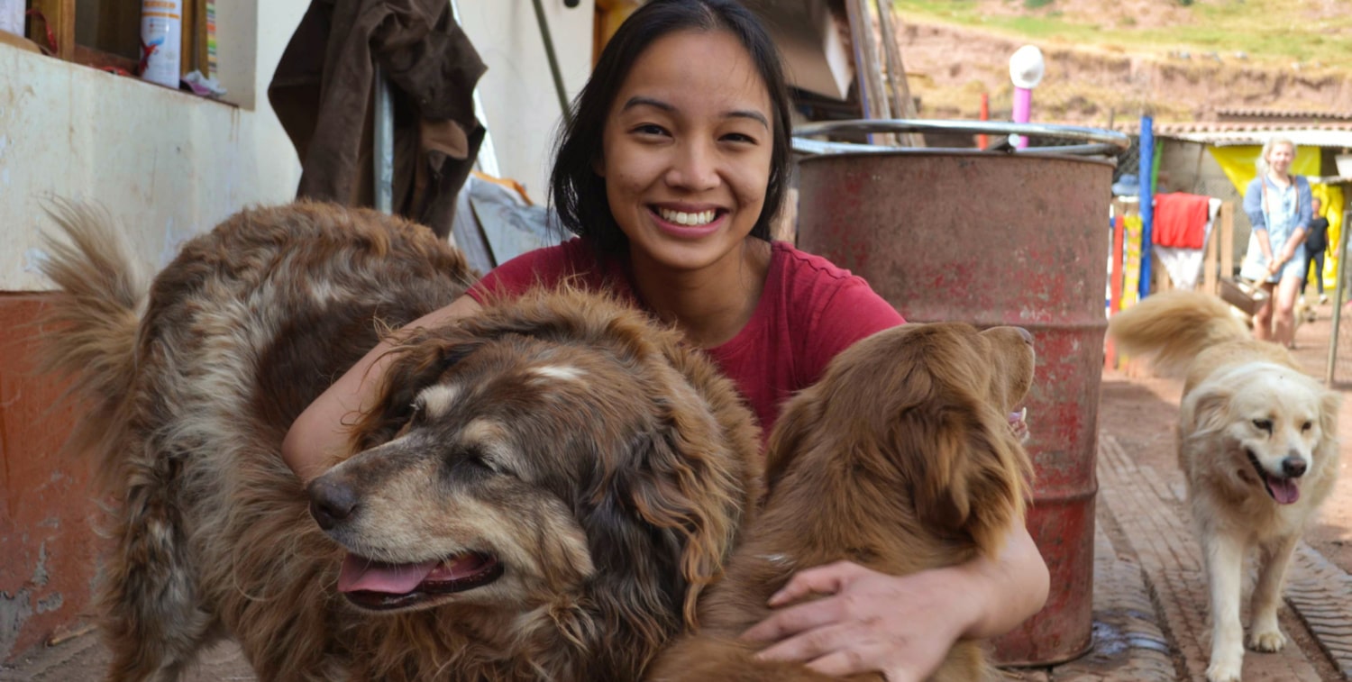 Volunteer with Dogs in Cusco girl crouching with her arms around two brown dogs as a white dog comes up behind