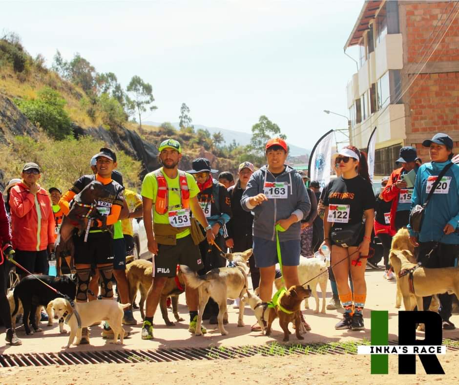 Runners and dogs before the race runners and dogs"