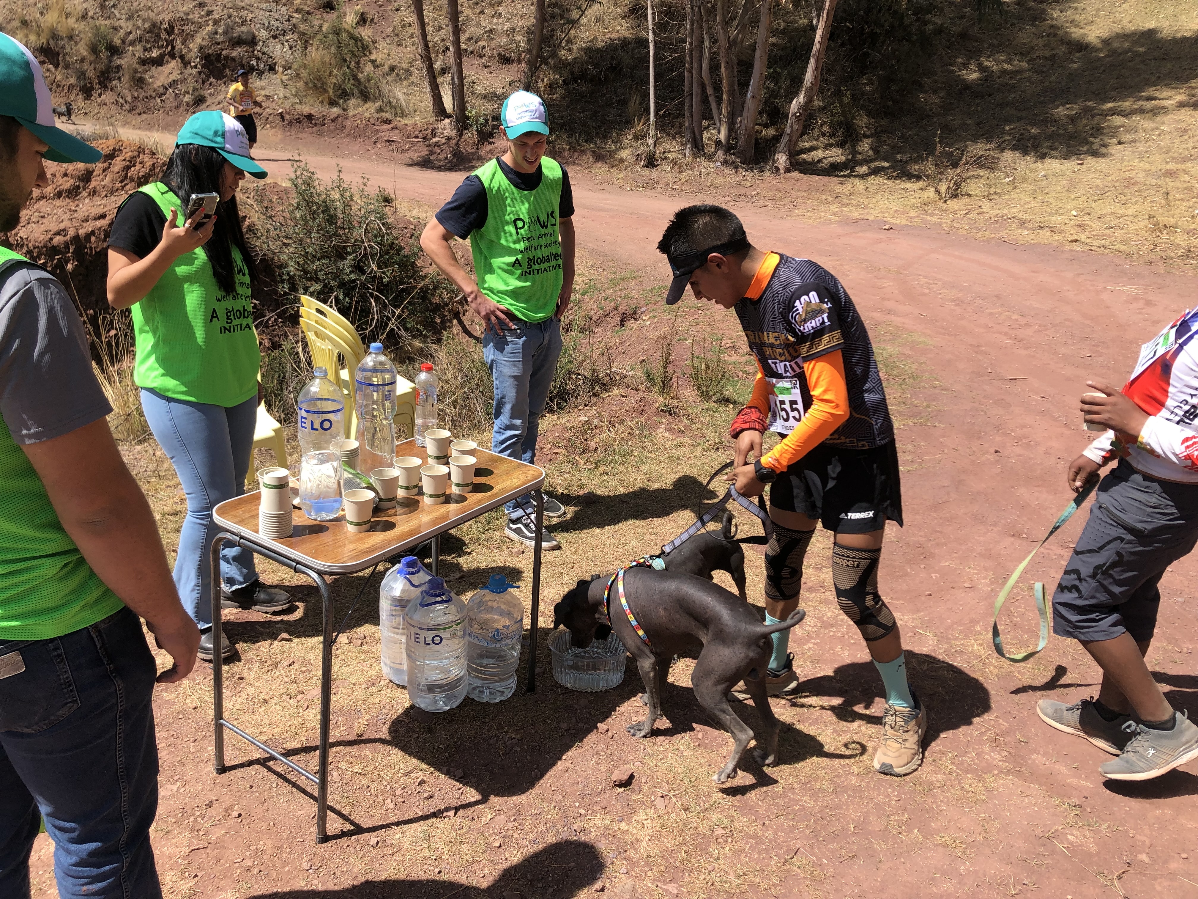 PAWS volunteer offering water to runners and dogs Runner with dog after the race"