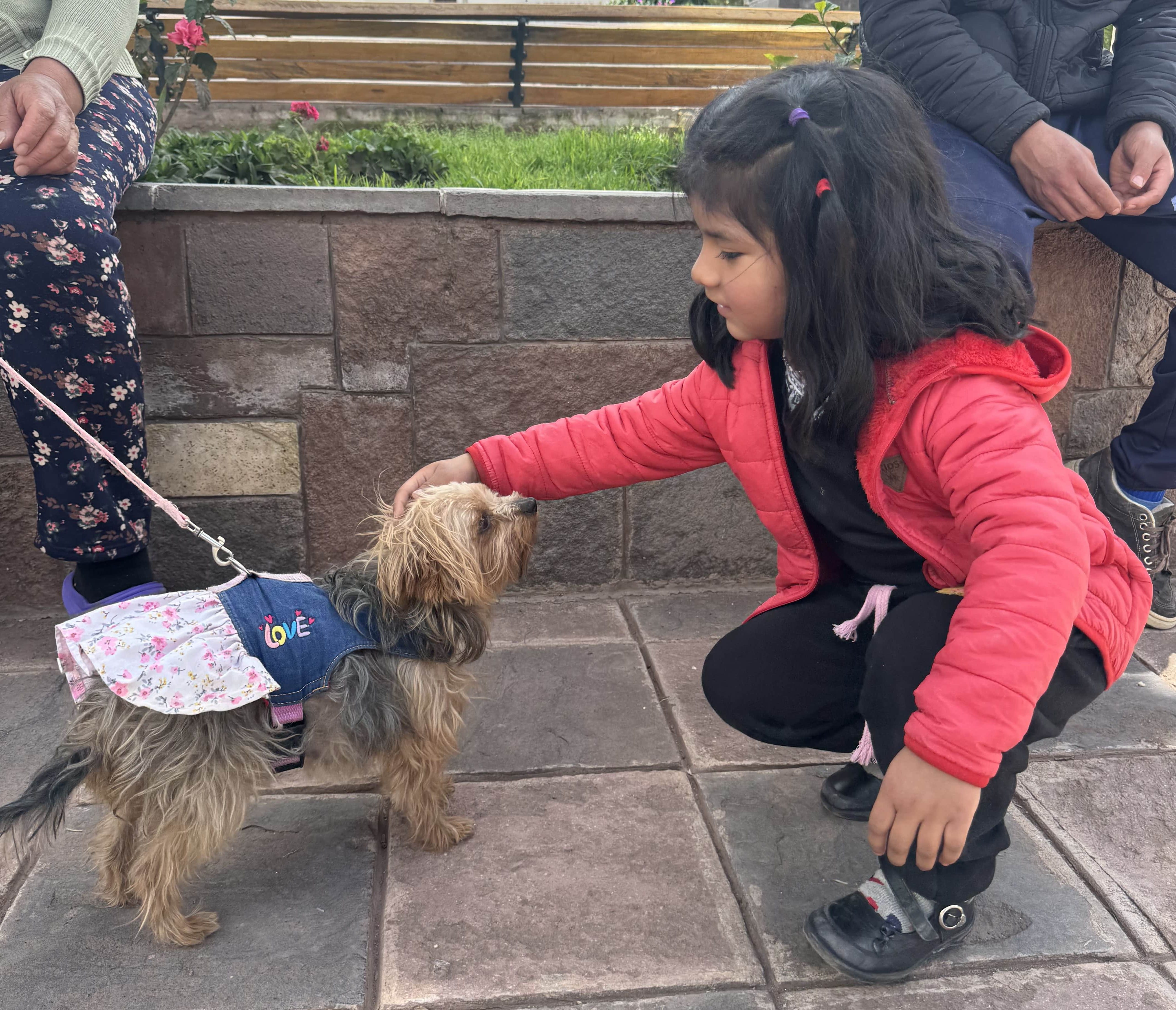 Child and dog in Lucre