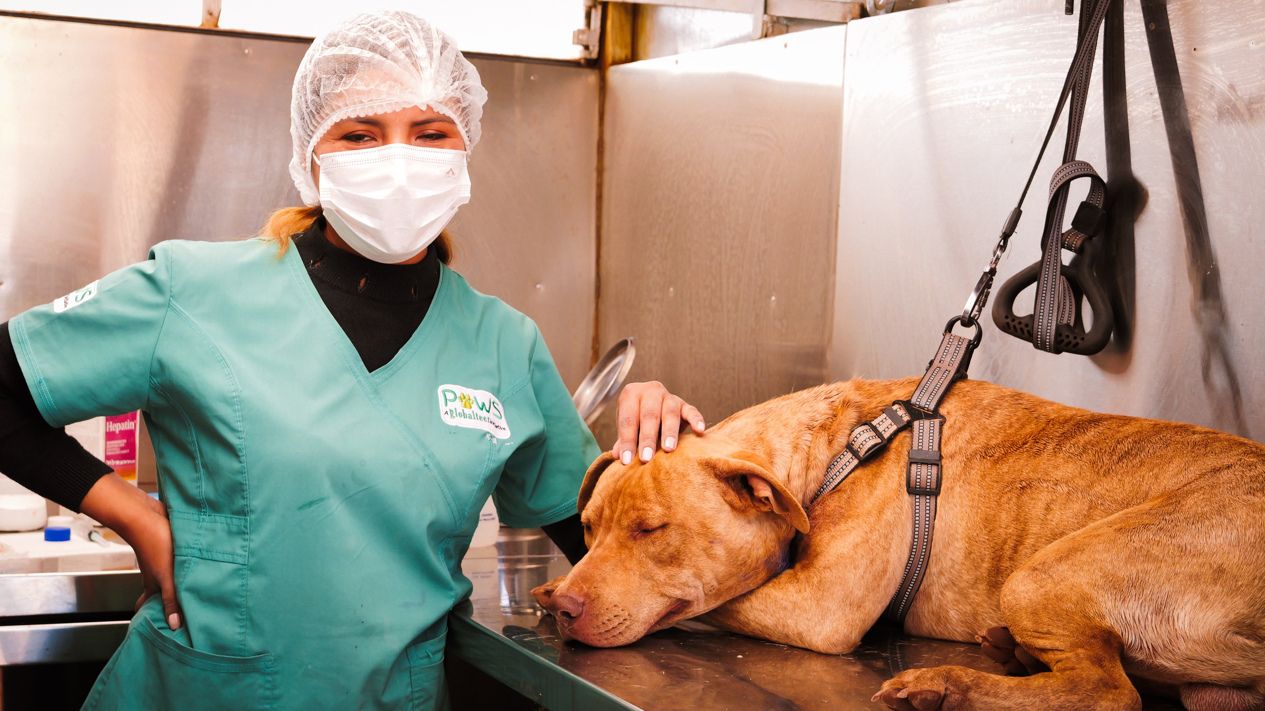 Yanet, our resident Vet