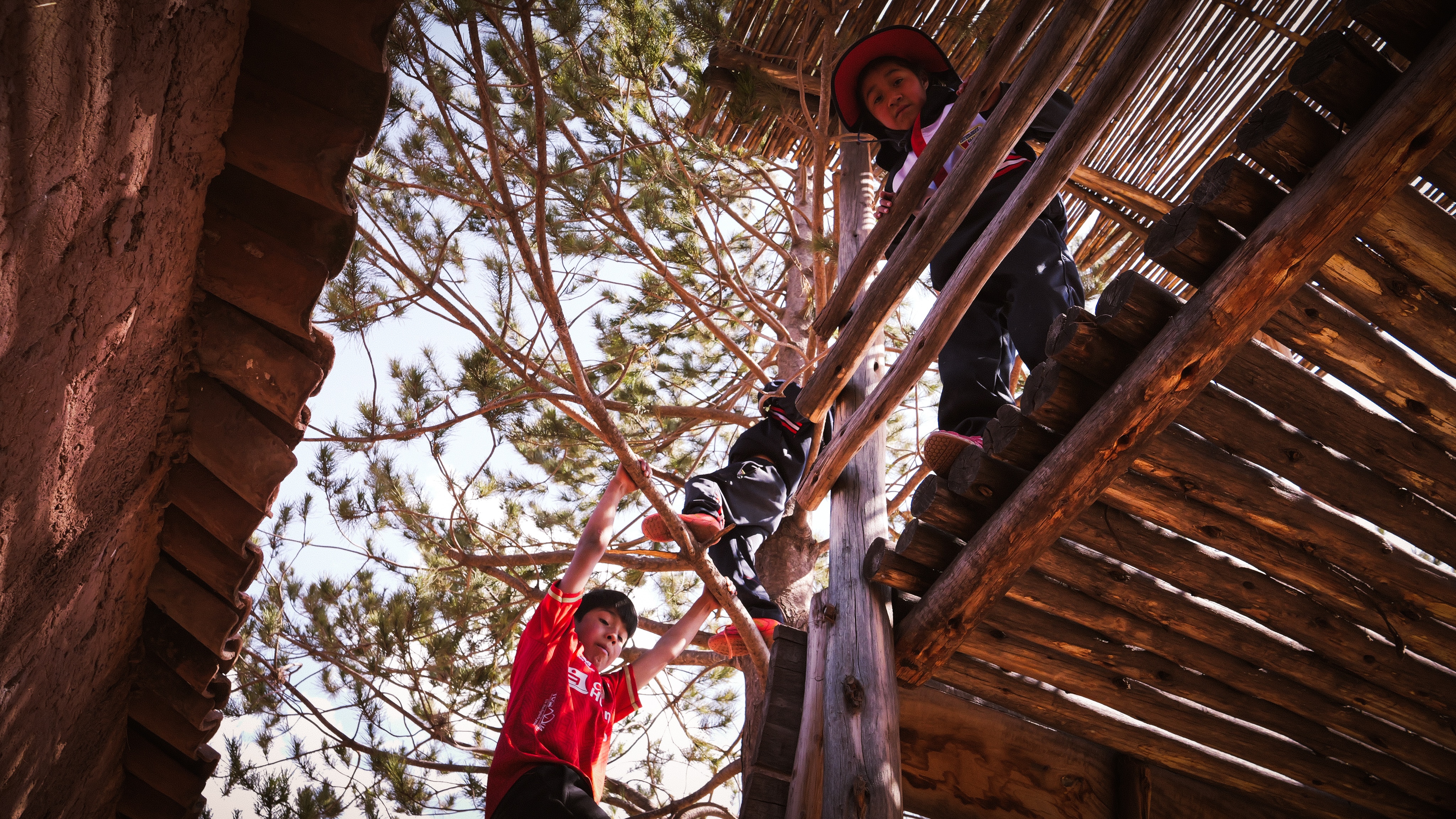 Picaflor Climbing Frame Friday Playtime