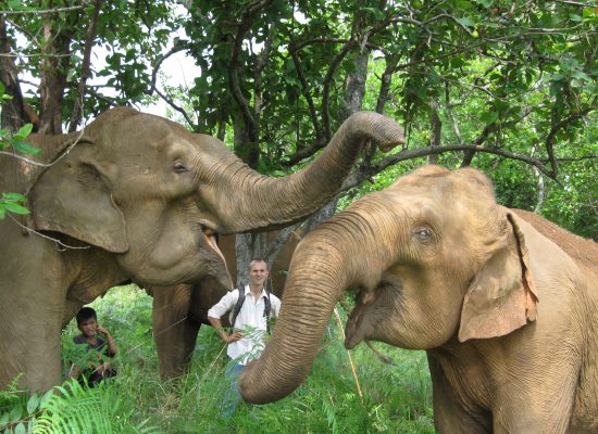 Globalteer Cambodia elephant Sanctuary Project"