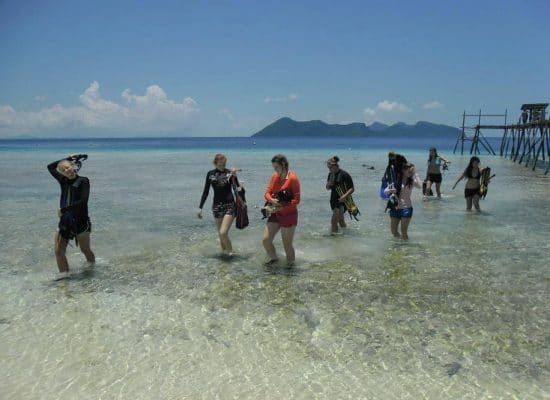 Globalteer Borneo Marine project"