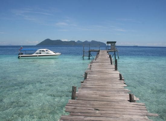 Globalteer Borneo Marine Project"