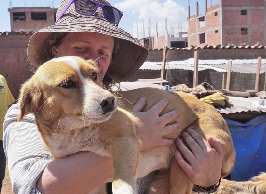 Peru dog rescue shelter"