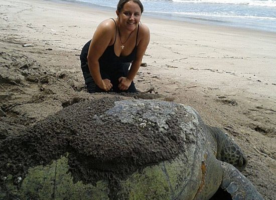 Volunteer at the Costa Rica Sea turtle Sanctuary"