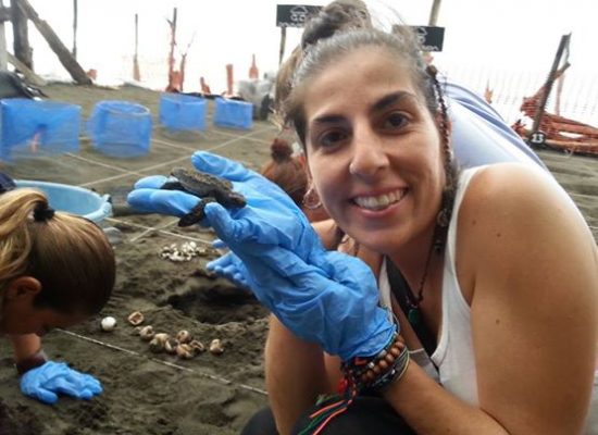 Volunteer with sea turtle in Costa Rica