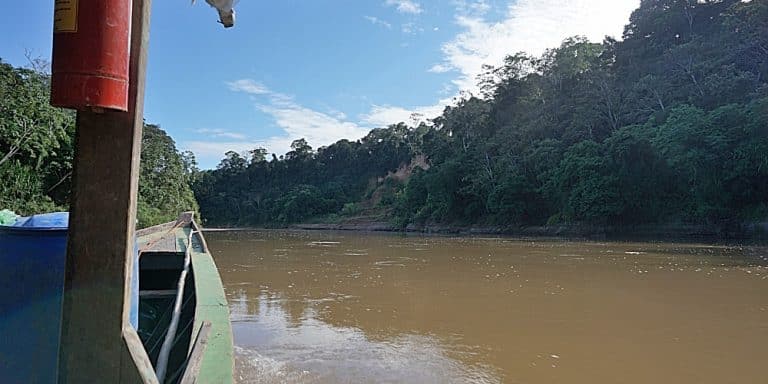 The commute at the Peru Amazon Rainforest Project Volunteers travelling by boat to the project in Manu