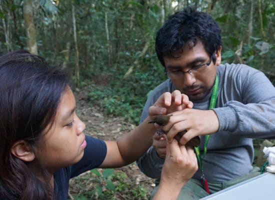 Volunteering at the Peru Amazon "