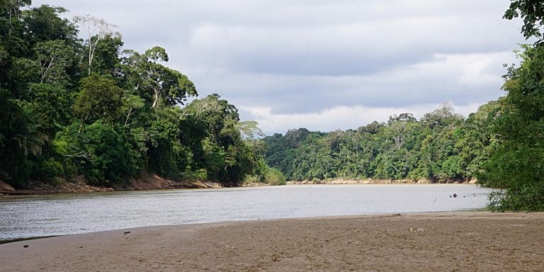 The river near the research centre in Manu