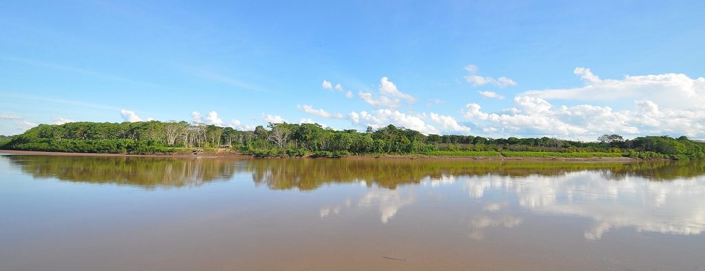 Volunteer accommodation at the wildlife sanctuary in the Peruvian Amazon