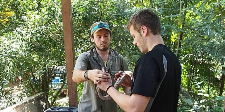 Volunteers learning bird identification with project staff in Manu