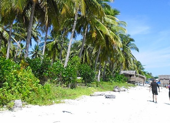 Beach at the Borneo Marine conservation project"