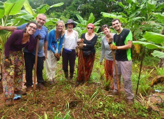 Volunteers at an elephant sanctuary in Cambodia"