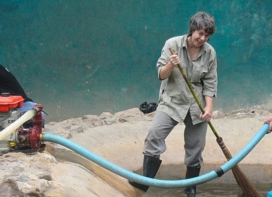 Volunteers at the Thailand Wildlife Sanctuary"