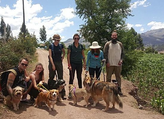 Walking the dogs at the Peru Dog Rescue Project"