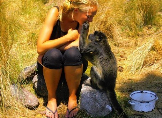 Argentina Monkey Sanctuary Volunteer"
