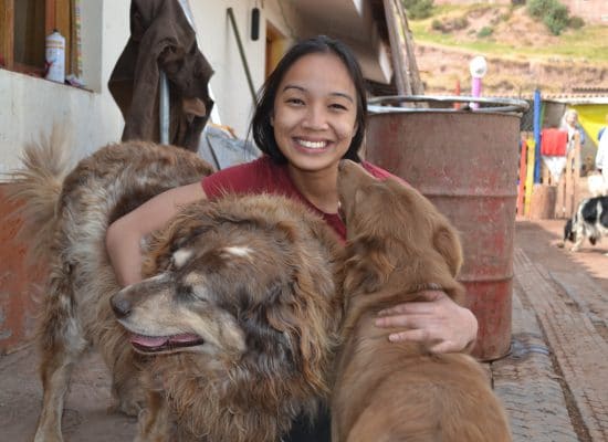 Volunteer with dogs at a shelter in Peru"