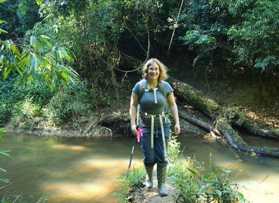 Volunteer at Amazon Conservation Project"