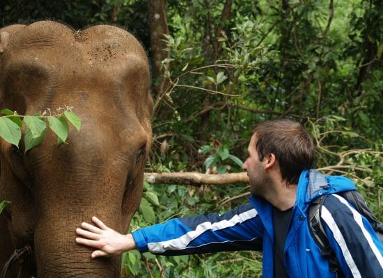 Getting close with Elephant in Cambodia"