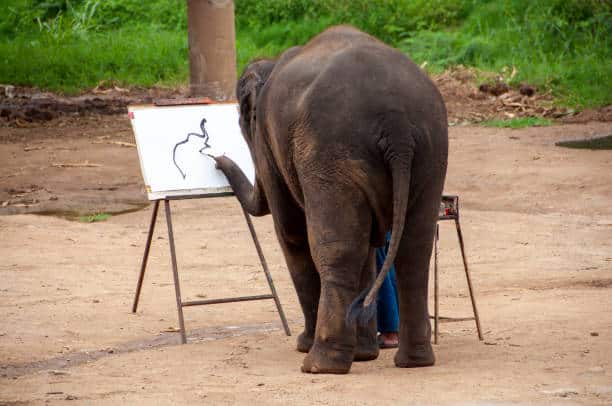 Elephant Painting