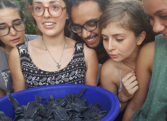 Volunteers with sea turtles in Costa Rica"