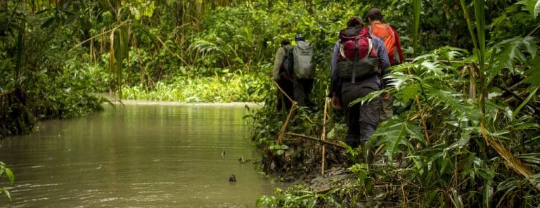 Volunteers trekking through the Peruvian Amazon