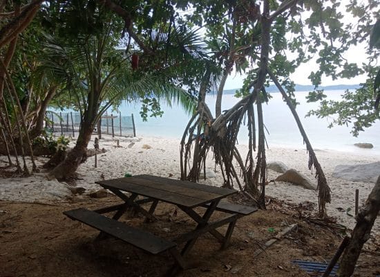 Relax by beach at malaysia sea turtle project"