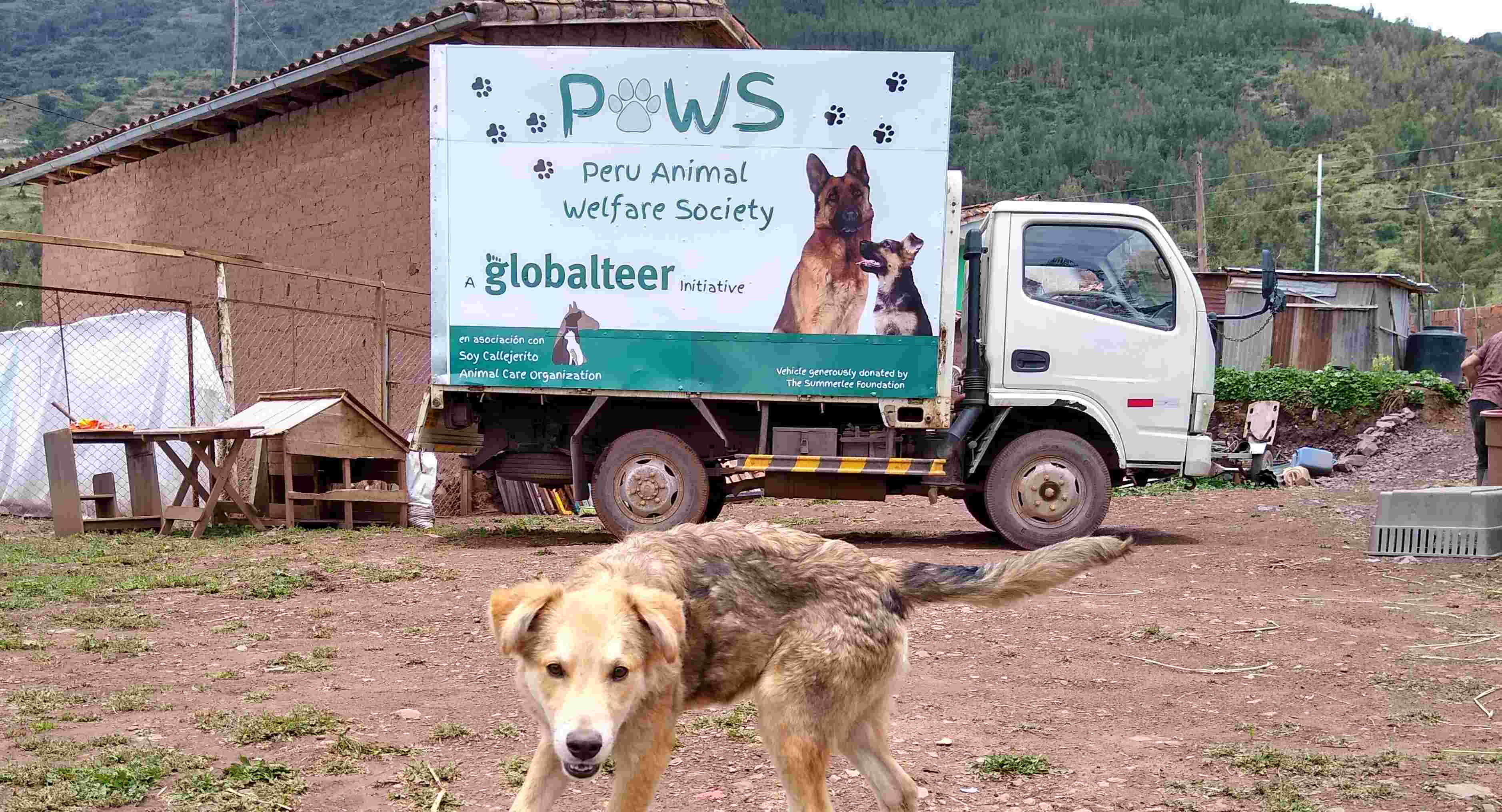 Peru dog rescue mobile veterinary clinic