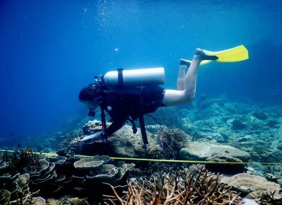 Diving - Malaysia Marine Project"