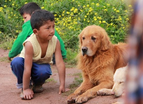 kid and dog Cusco Peru"