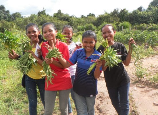 Farming scholarships"