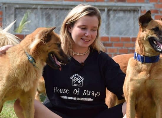 Volunteer bonding with a rescued street dog"