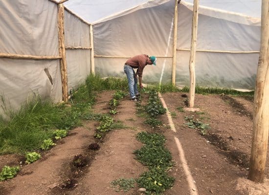 Florian tending to the garden at Picaflor House"