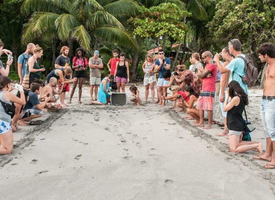 volunteers with sea turtle"