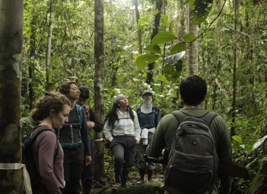 volunteer in Amazon"
