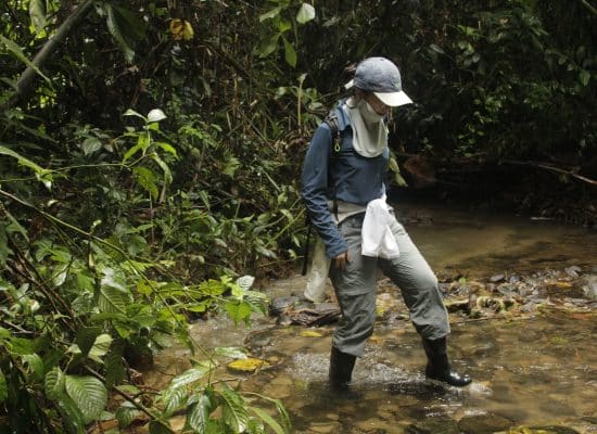 volunteer in Amazon"