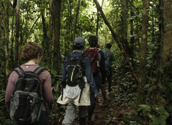 volunteer in Amazon"