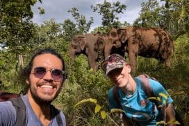 Elephant Volunteers in Asia"