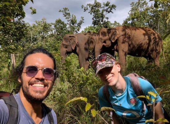 Volunteering In Asia with Elephants
