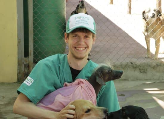 Volunteer at the Peru Dog Shelter"