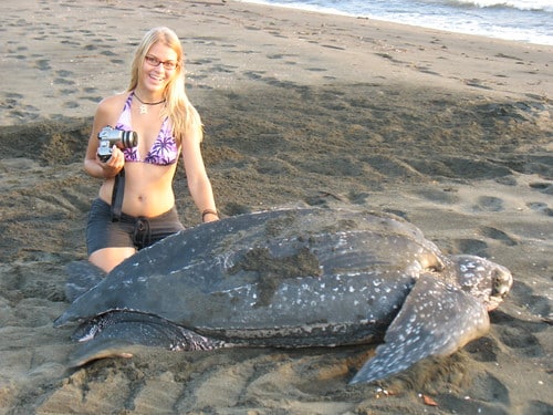 Volunteering in Costa Rica with Sea Turtles"