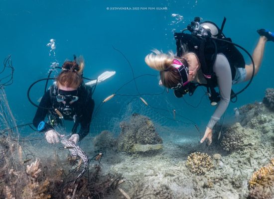 Volunteering to help Sea Conservation"