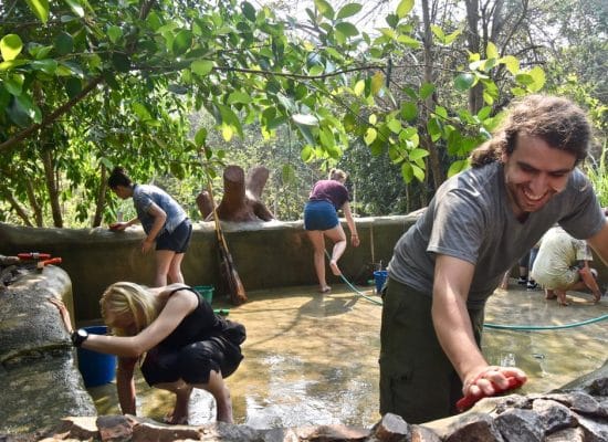 Volunteers Cleaning Enclosure in Thailand"