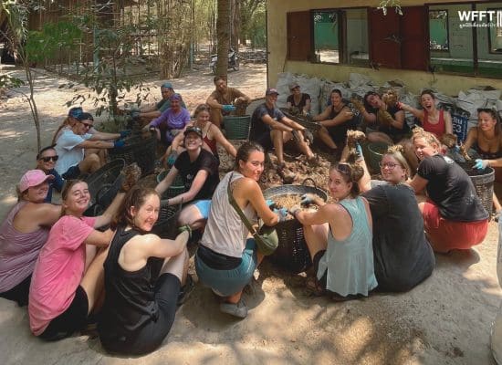 Volunteers Working in Thailand"