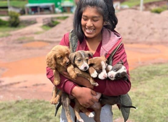 Villager bringing pups to our mobile clinic"