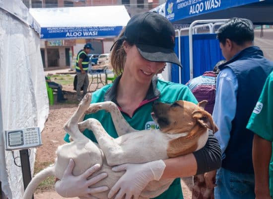Volunteering with PAWS dog rescue"