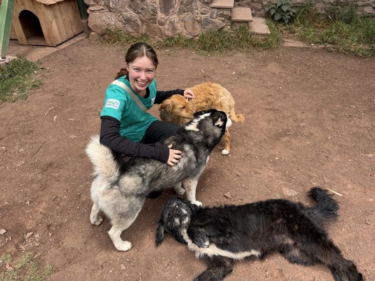 Female volunteer smiling while hugging a husky in the shelter yard