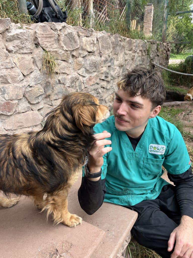 PAWS Peru volunteer in teal scrubs smiling at a fluffy brown dog beside a stone wall